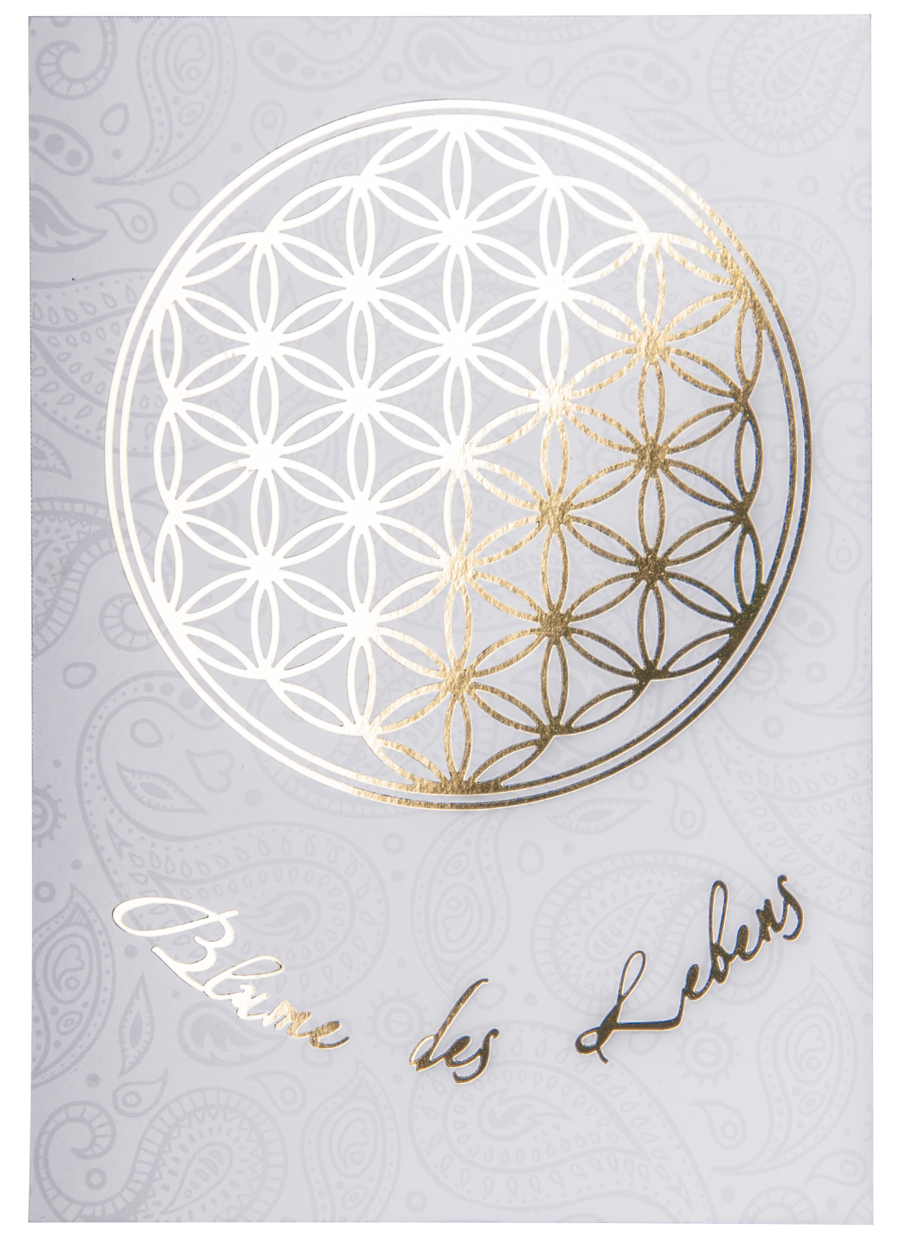Blume des Lebens Postkarte