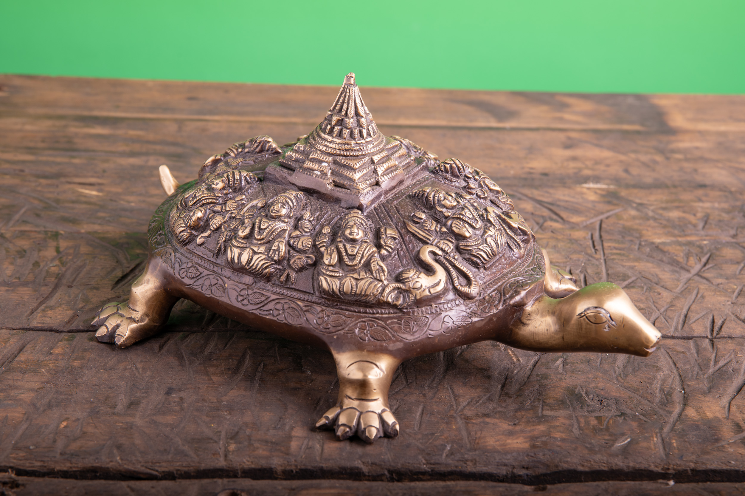 Schildkröte A-027