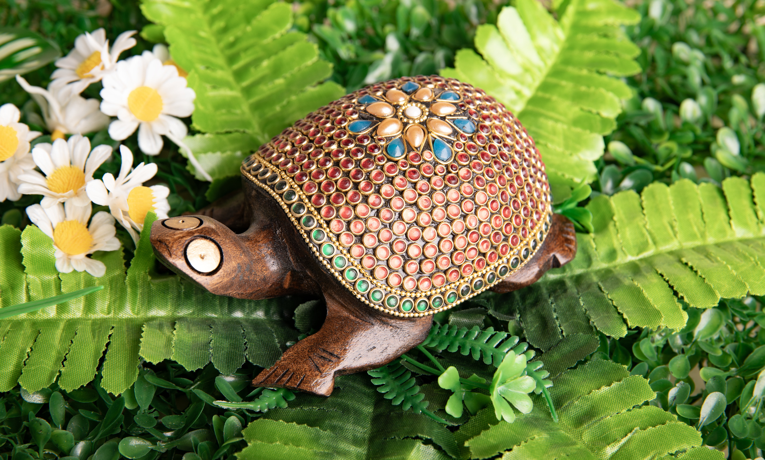 Zauberschildkröte, groß