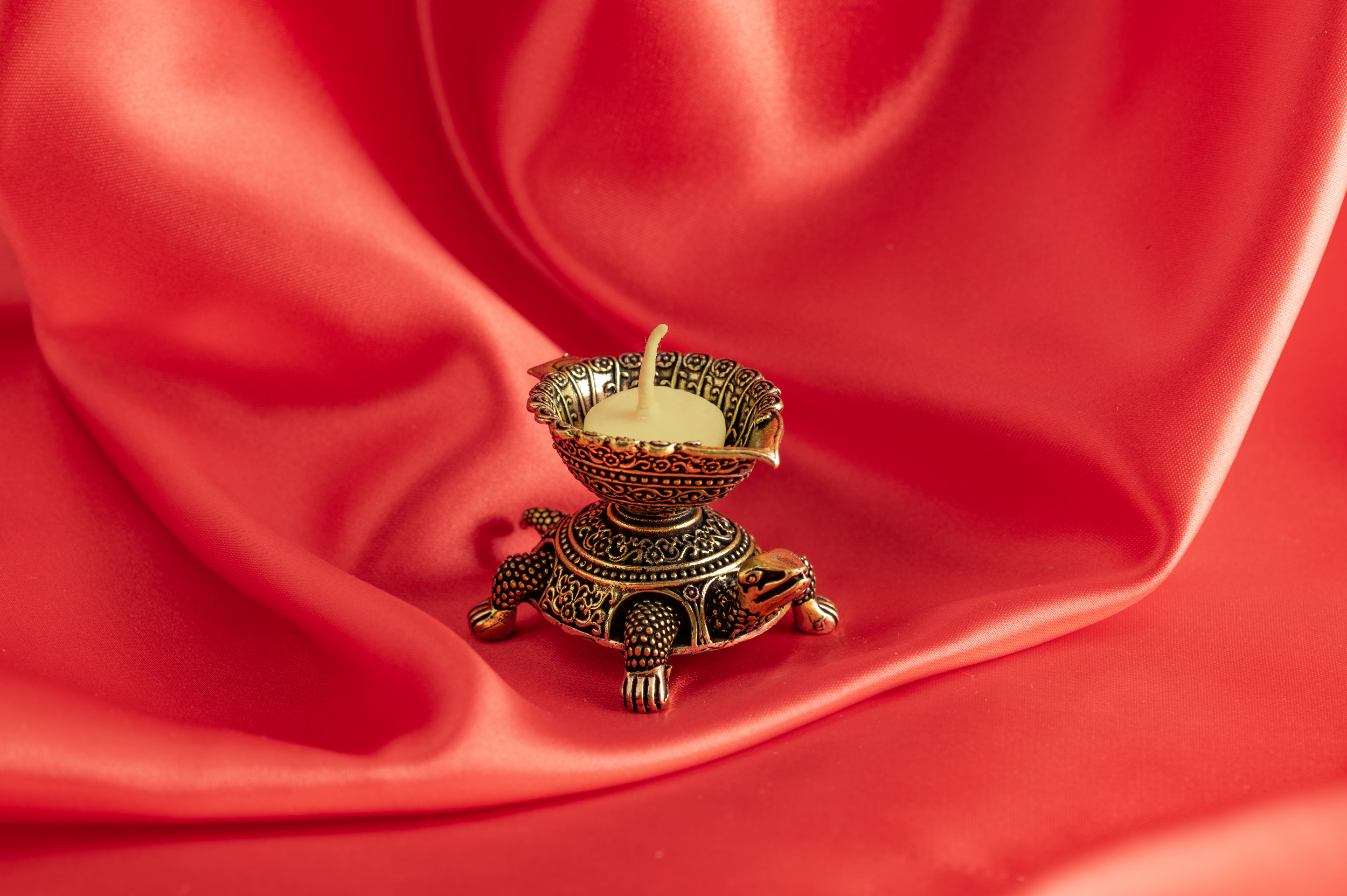 Gheelampe Schildkröte