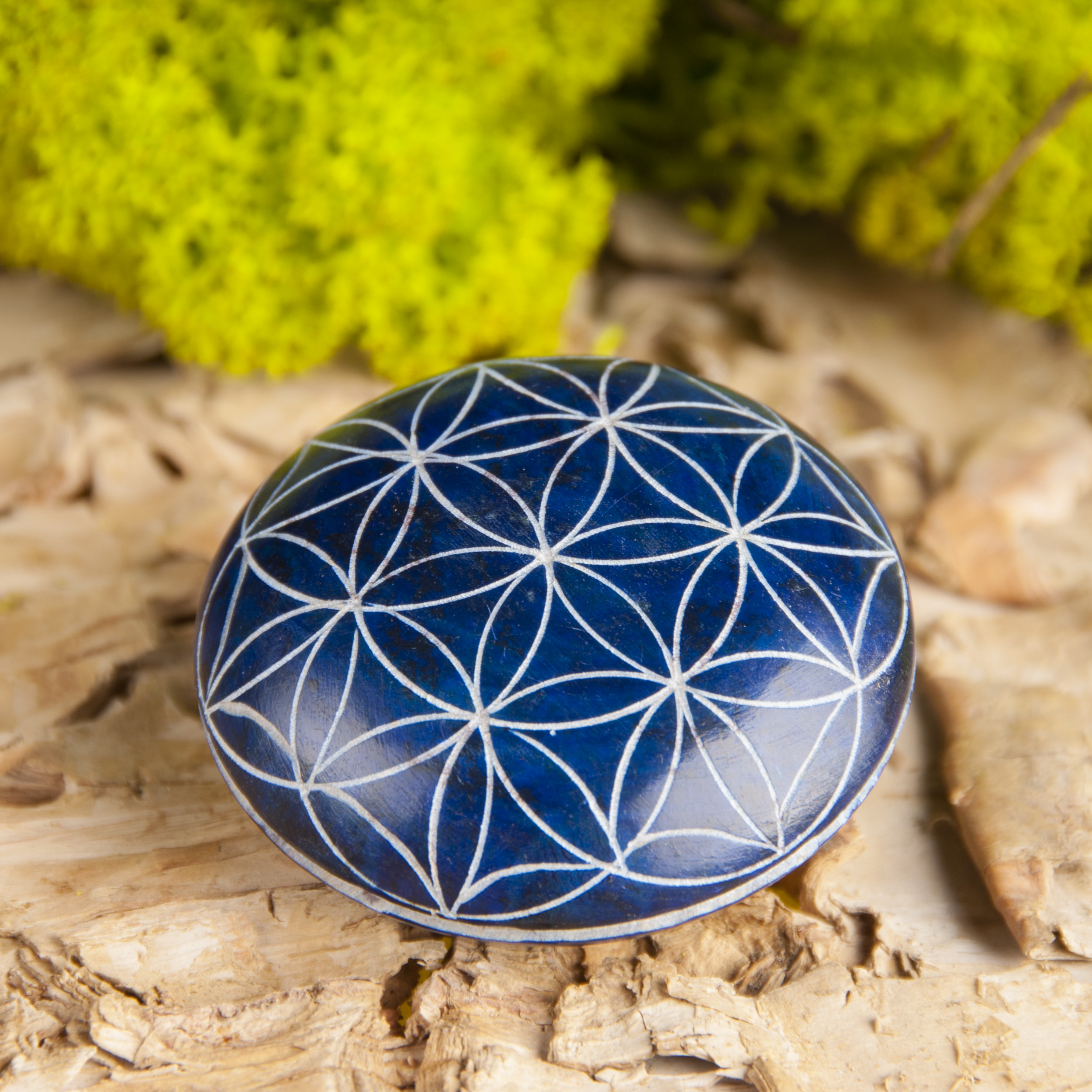 Handschmeichler Lebensblume, blau