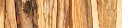 Palo Santo