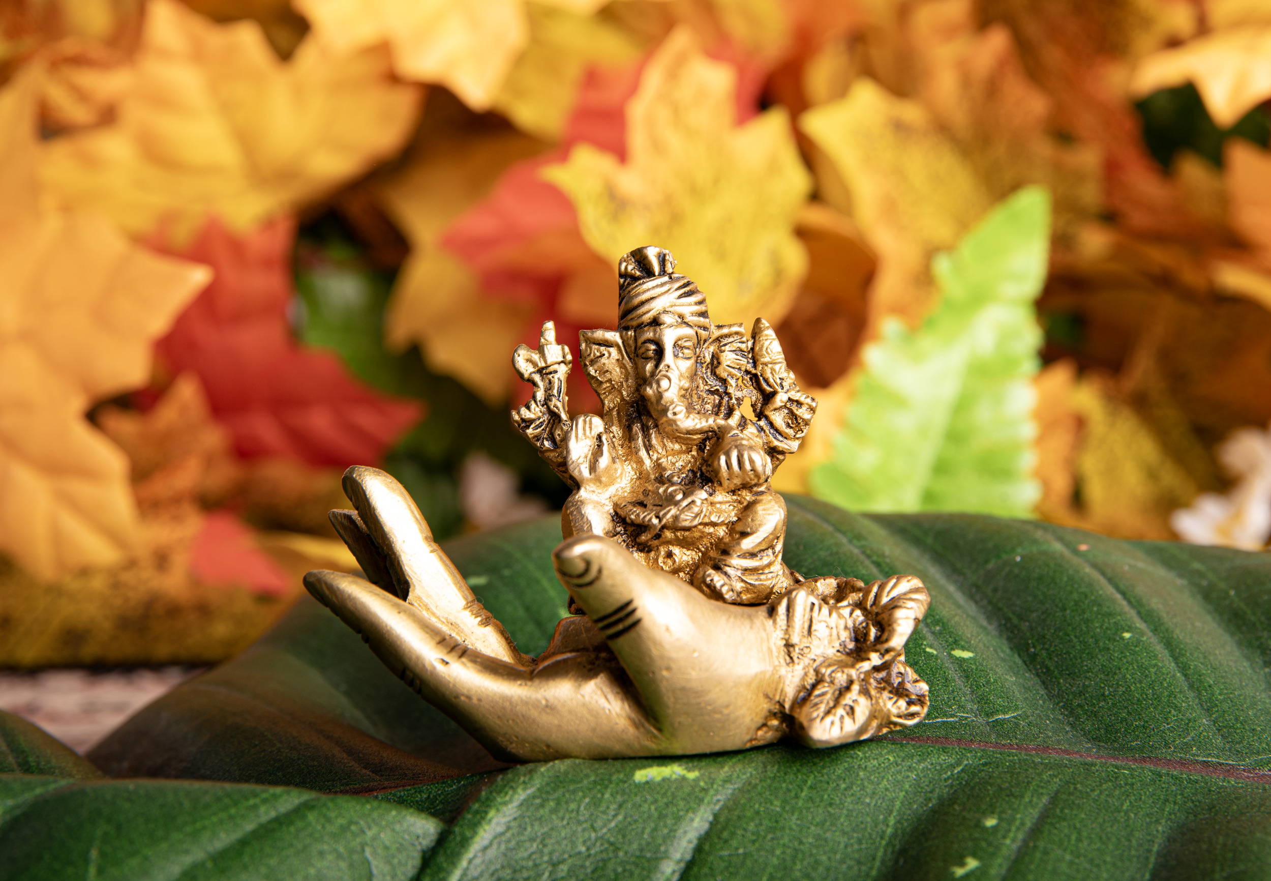 Ganesha in Segenshand