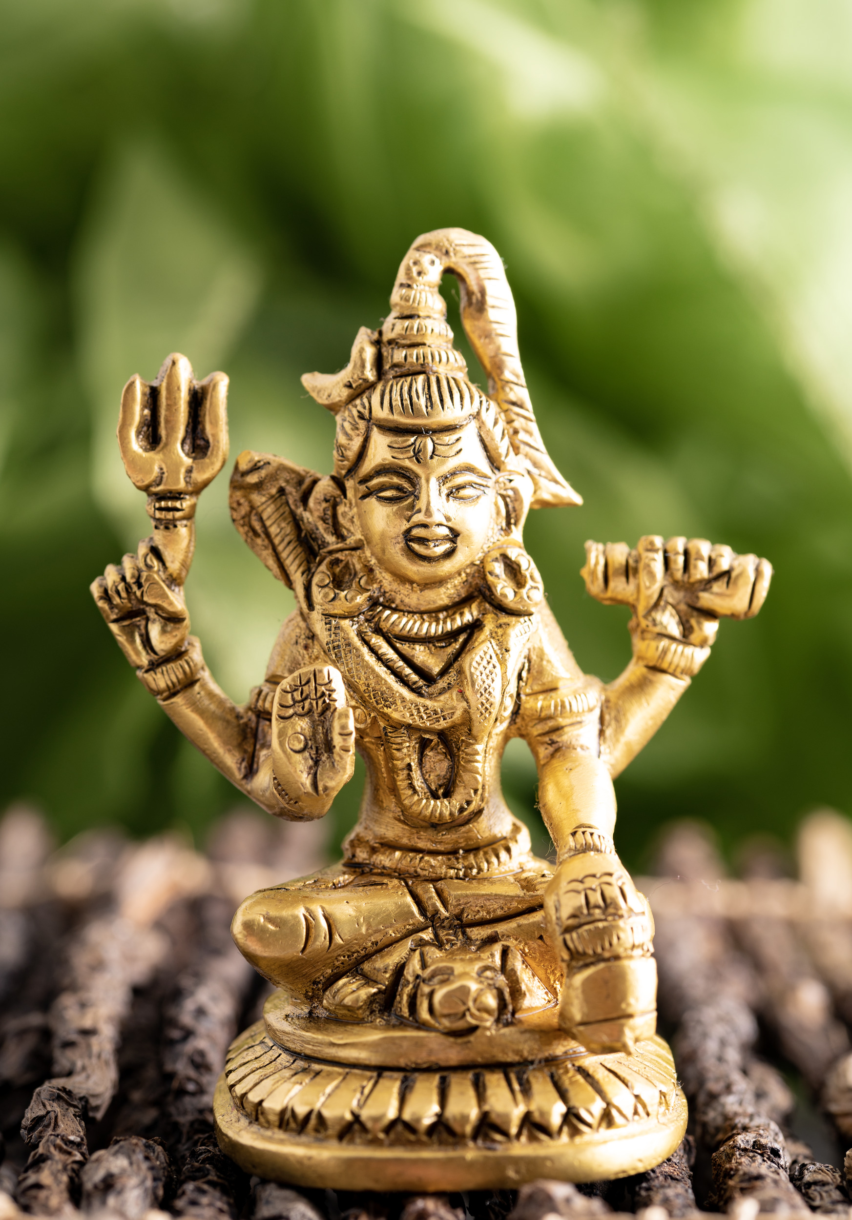 Shiva