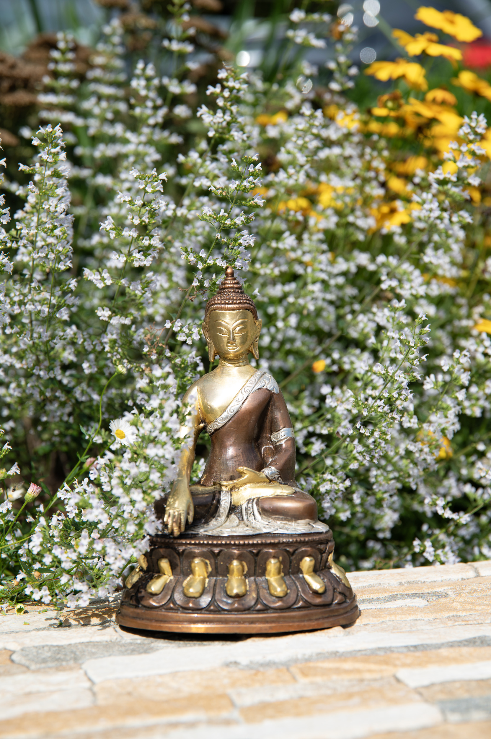 Buddha Shakyamuni