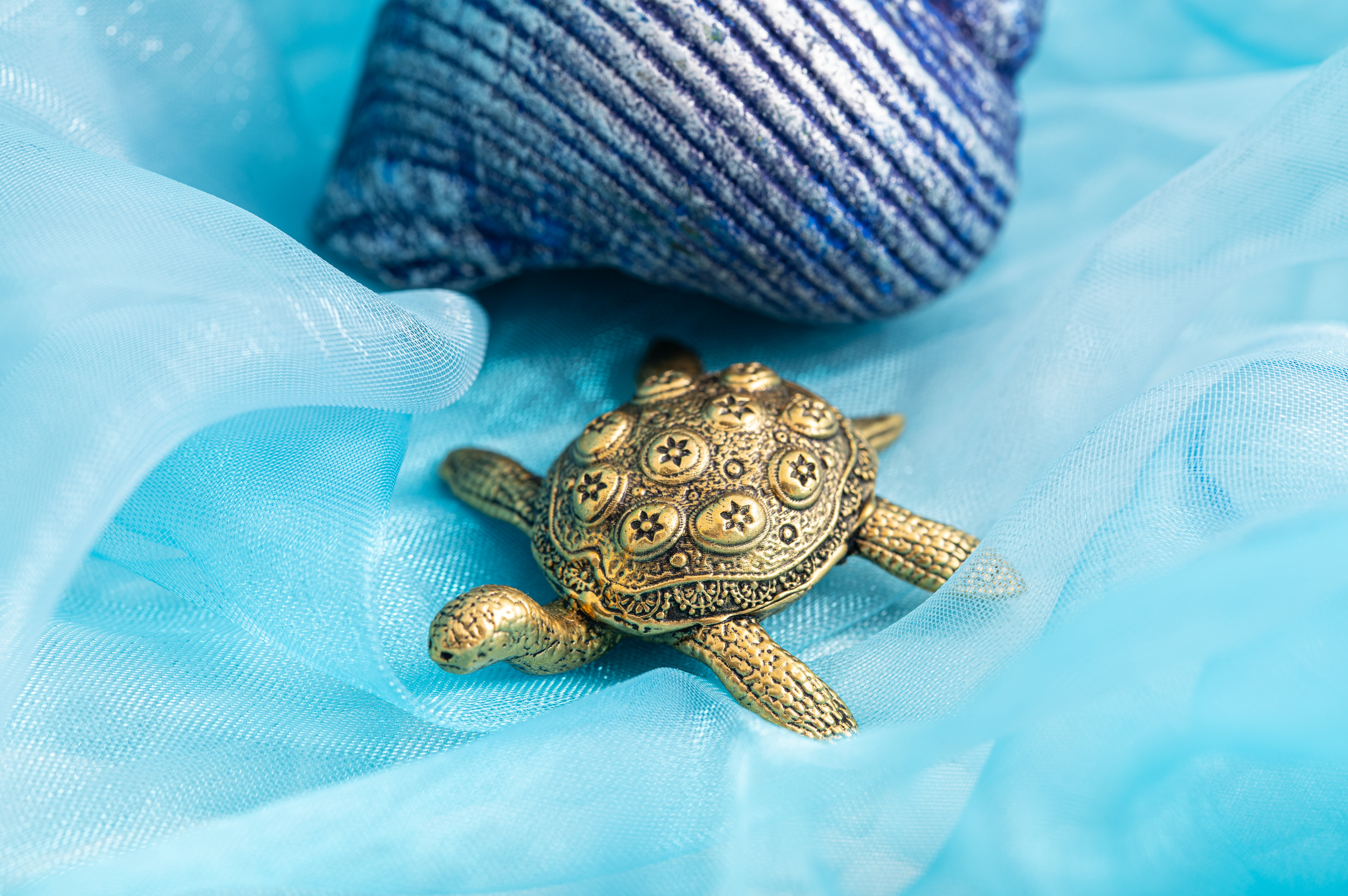 Schildkröte