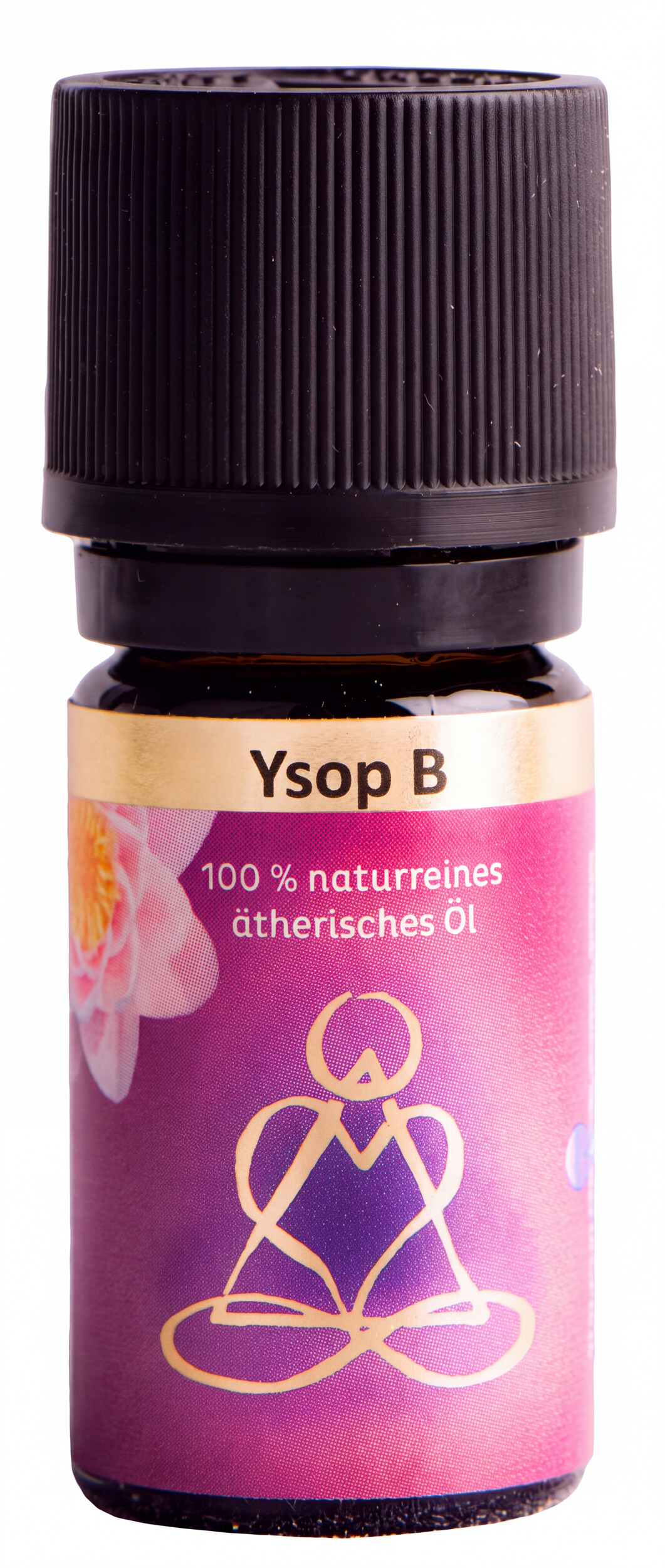 Ysop, B