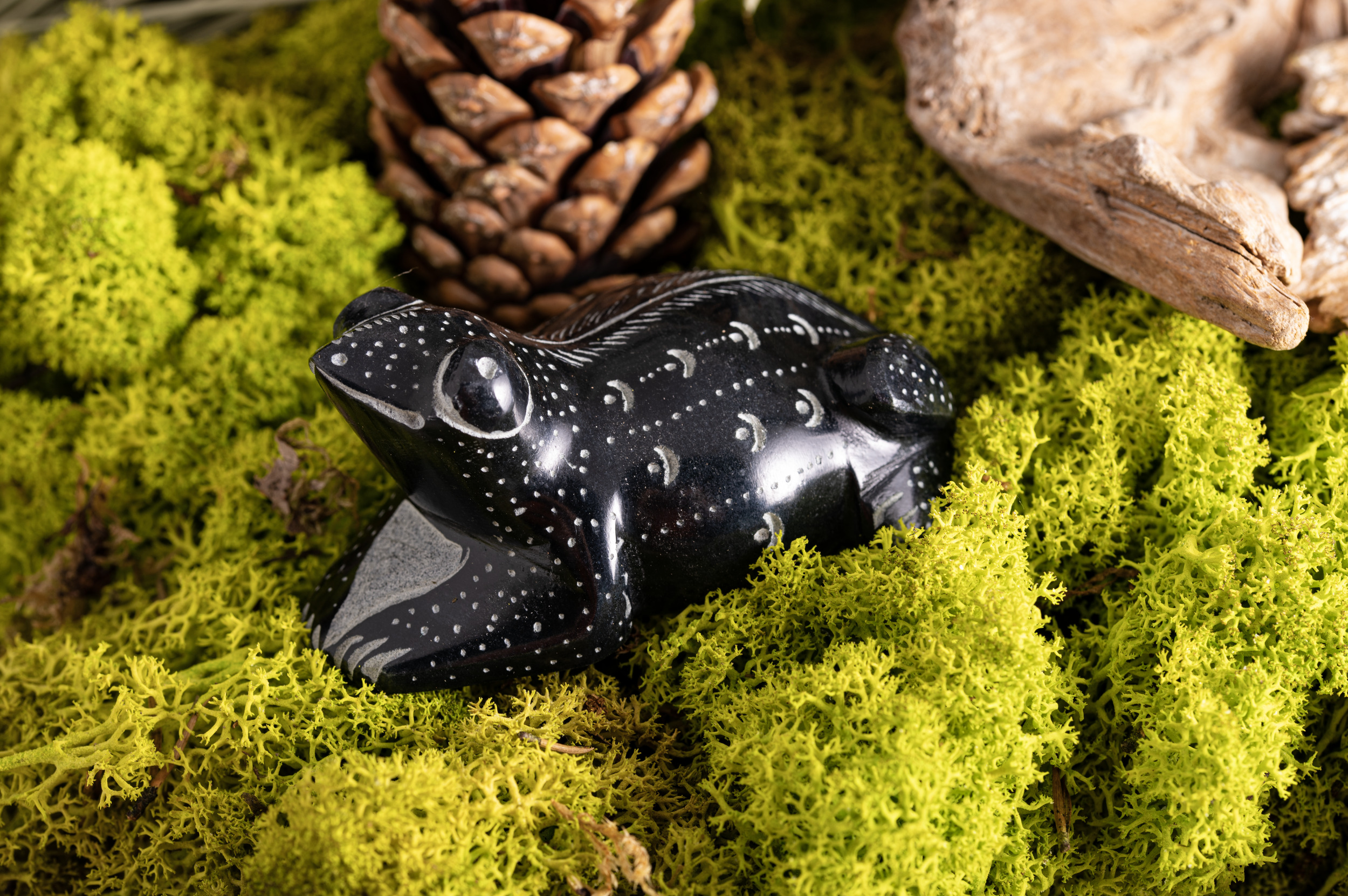 Frosch