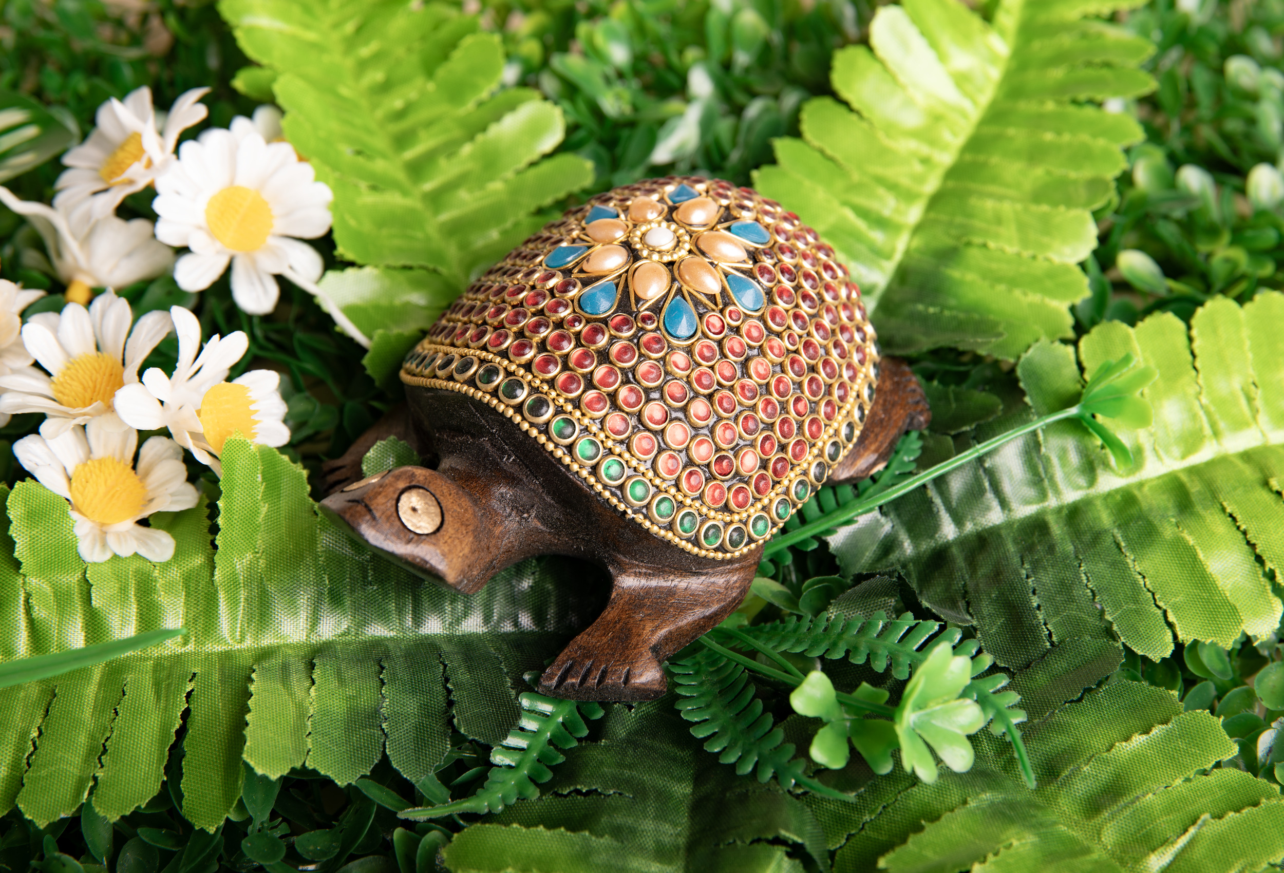 Zauberschildkröte, klein