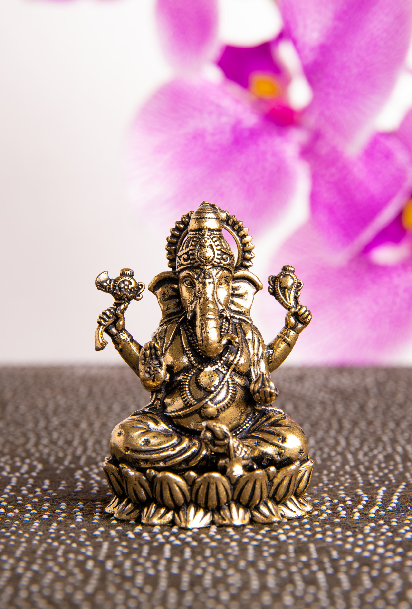 Ganesha auf Lotus