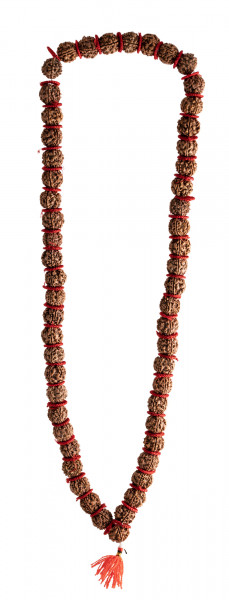 Rudraksha Mala