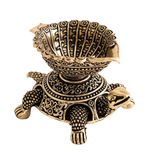 Gheelampe Schildkröte