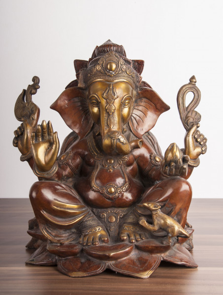 Ganesh G-010