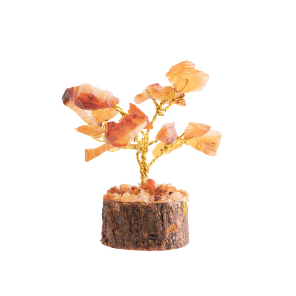 Kristallbäumchen Karneol
