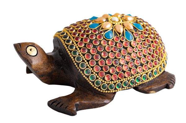 Zauberschildkröte, klein