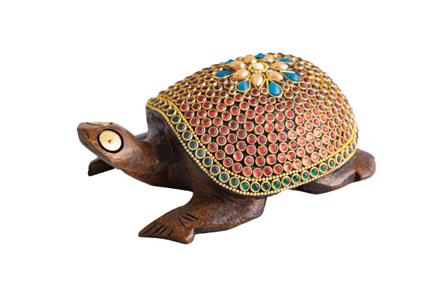 Zauberschildkröte, groß